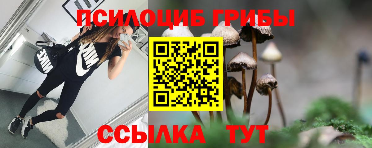 Азов  Псилоцибиновые грибы мицелий  Вход с VPN 